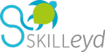 Skilleyd Logo